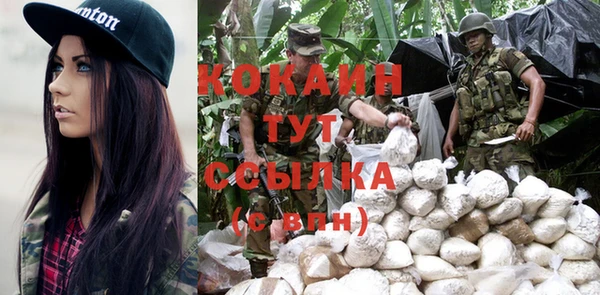 spice Алексин