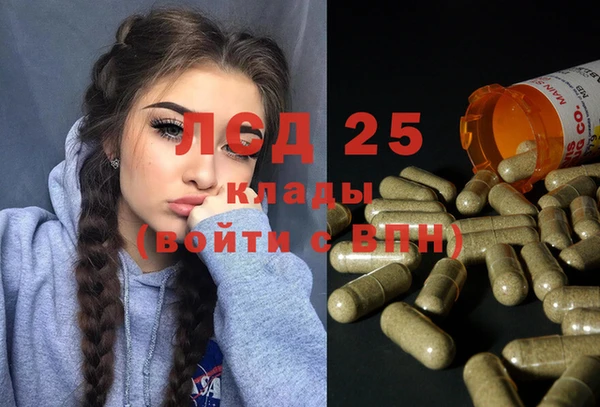 spice Алексин