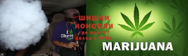 гидра Алексеевка