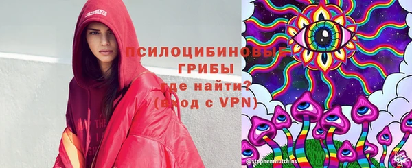 гидра Алексеевка