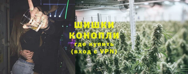 гидра Алексеевка